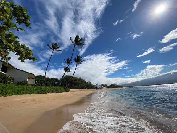 Plage, chaises longues, serviettes de plage