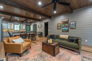 Smart TV, fireplace, books