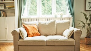 Un canapé beige avec deux coussins, une fenêtre avec des rideaux, un radiateur et une plante.
