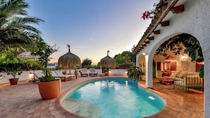 A pool area with lounge chairs, a small pool, and a patio with potted plants and a thatched umbrella.