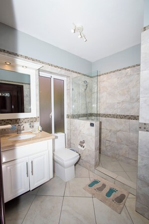 Shower, hair dryer, bidet, towels