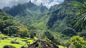 Un exuberante paisaje verde con una cadena montañosa al fondo y un banco al frente.