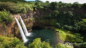 Una cascada se precipita en una poza rodeada de vegetación exuberante y una colina al fondo.