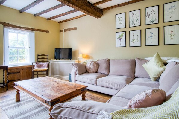 Älytelevisio, takka