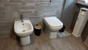 Shower, hair dryer, bidet, towels