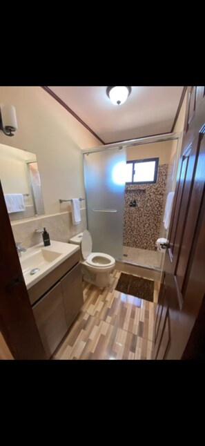 Hair dryer, towels, soap, toilet paper