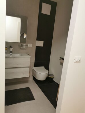 A modern bathroom with a toilet, sink, and mirror. - Lavender House Small apartment made from an old village house (Sarnonico)