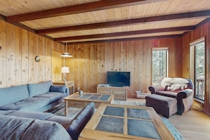 TV, DVD player, video library