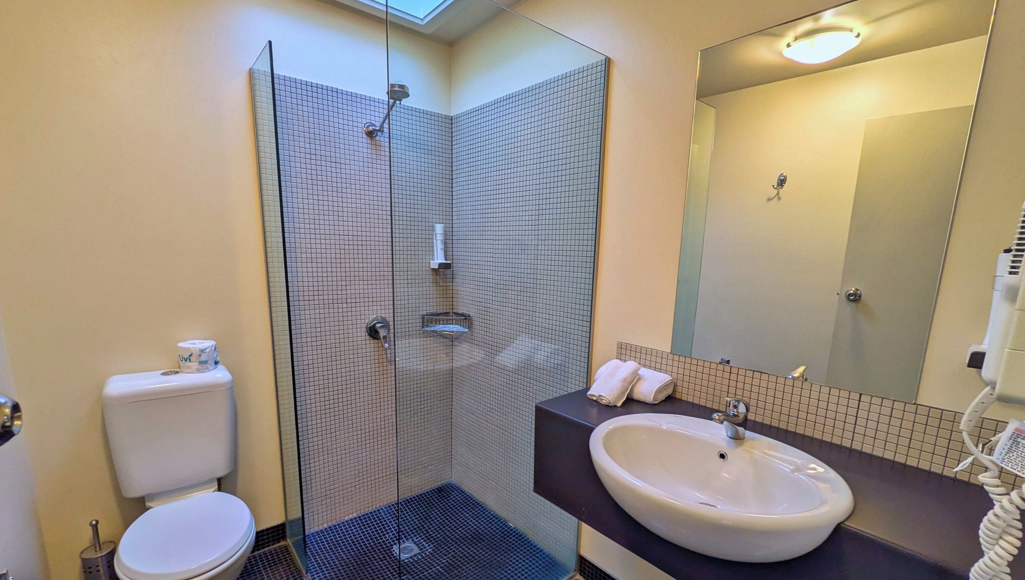 Habitación familiar con 1 cama doble o 2 individuales, vistas al patio | Baño | Ducha, toallas y jabón