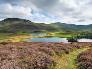 Imagen sin descripción, 3 de 14, botón