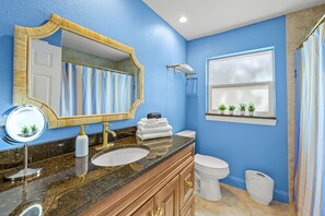 Shower, hair dryer, towels - Sleeps 10•Pool•Hot Tub•Sport Court•Pool Table (St. Petersburg)