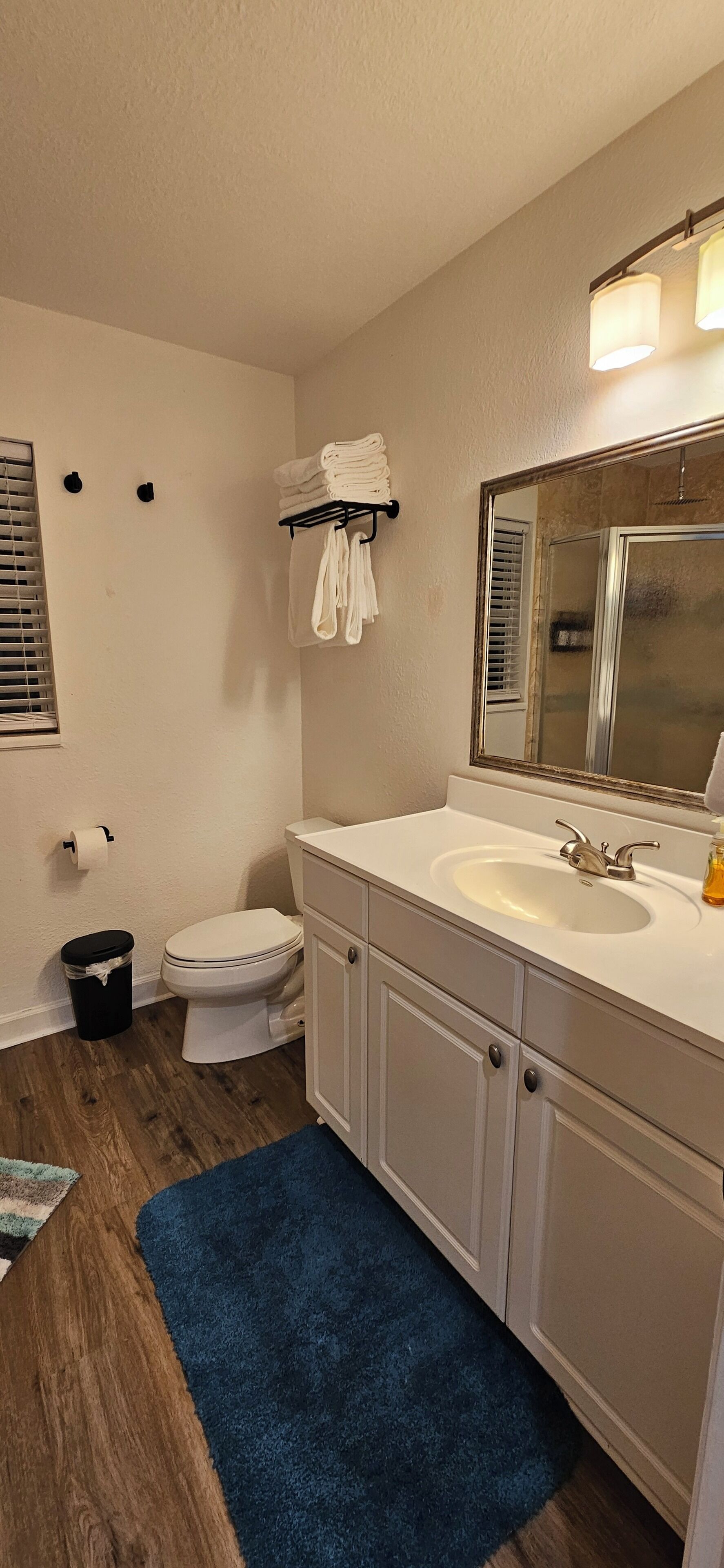 A bathroom with a white sink, a mirror, a toilet, and a blue rug.
