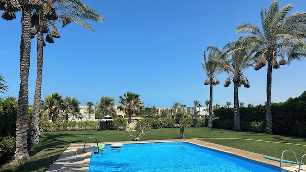 A rectangular swimming pool with clear blue water, surrounded by palm trees and a well-maintained lawn.