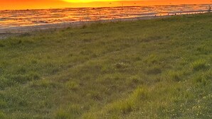 Un atardecer sobre un campo cubierto de hierba, con una isla al fondo.