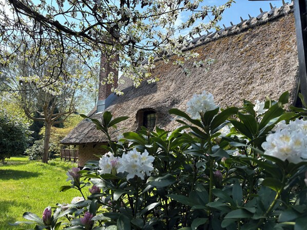 Ein traditionelles Haus mit einem Reetdach und einem sichtbaren Schornstein, umgeben von üppiger Vegetation und blühenden Pflanzen.