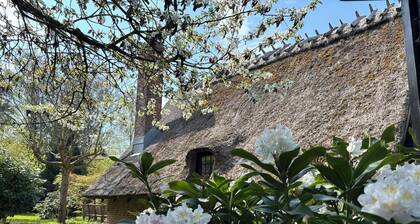 Charming thatched cottage near the water