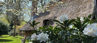Charming thatched cottage near the water