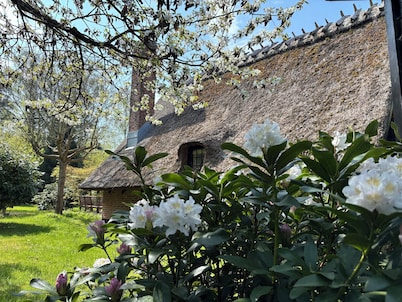 Charming thatched cottage near the water