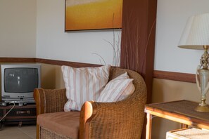 Smart TV, fireplace, DVD player