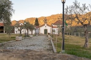 Área da propriedade