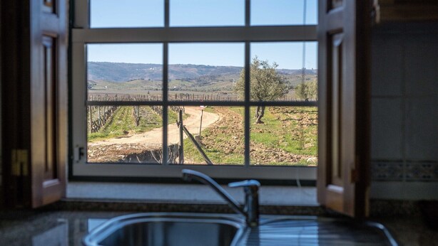 Eine Küche mit Blick aus dem Fenster auf eine ländliche Landschaft.
