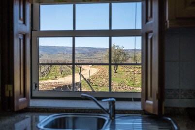 Holiday home on estate with vineyards, olive groves and swimming pool