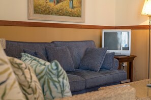 Smart TV, caminetto, lettore DVD
