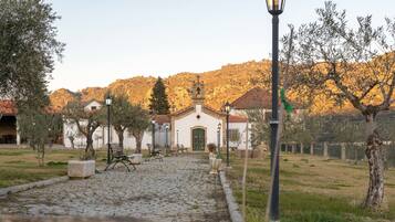 Terrein van de accommodatie