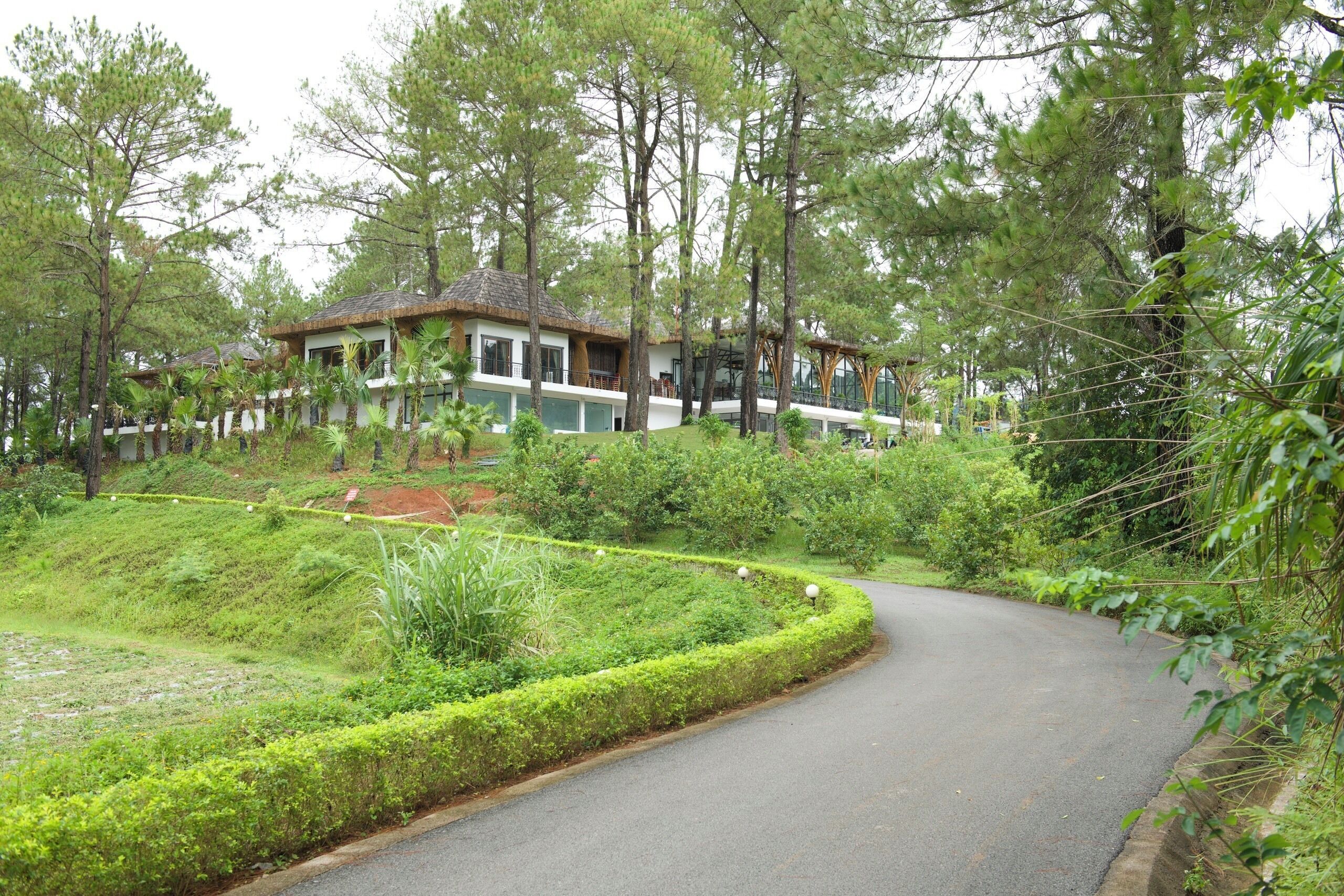 A house with a curved driveway surrounded by lush greenery and tall trees.