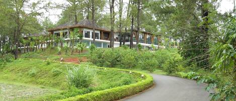 A house with a curved driveway surrounded by lush greenery and tall trees.