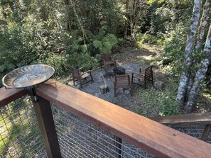 Property grounds - Rainforest retreat near Canyon Lookout & trails, mins to Springbrook wonders (Springbrook)