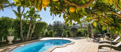 Hus | Pool | Indendørs pool, udendørs pool