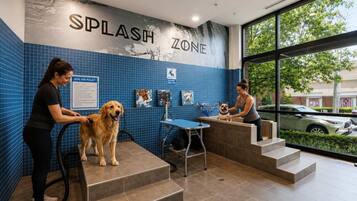 Ett hundspa med en blå kakelbeklädd vägg, en skylt med texten ”LEKOMRÅDE” och en hund som blir ompysslad.