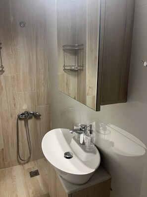 Shower, hair dryer, bidet, towels