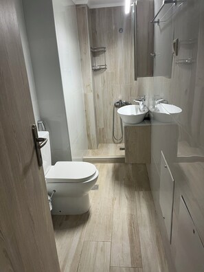 Shower, hair dryer, bidet, towels