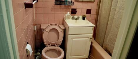 Serviettes fournies, savon, papier toilette