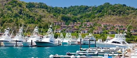 Marina