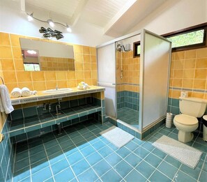 Shower, hair dryer, towels