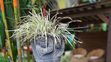 Details aan de buitenkant