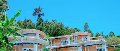 A multi-story building with curved balconies, surrounded by greenery and trees.