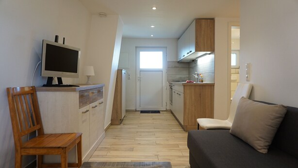 A compact living space with a kitchenette, a dining area with a wooden chair, and a sofa with a cushion.