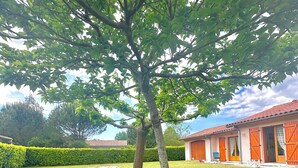 Une pelouse verdoyante et bien entretenue, avec un grand arbre au premier plan et un bâtiment aux portes et fenêtres rouges en arrière-plan.