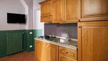 Apartament estàndard, vistes a la muntanya | Cuina privada