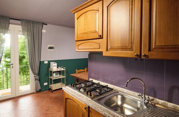 Deluxe Apartment, Mountain View | Private kitchen
