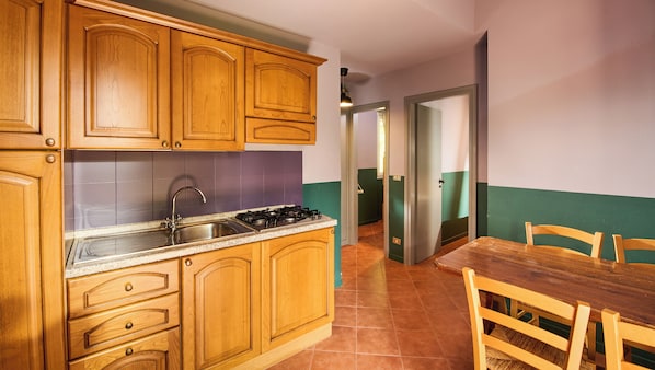 Apartament estàndard, vistes a la muntanya | Cuina privada