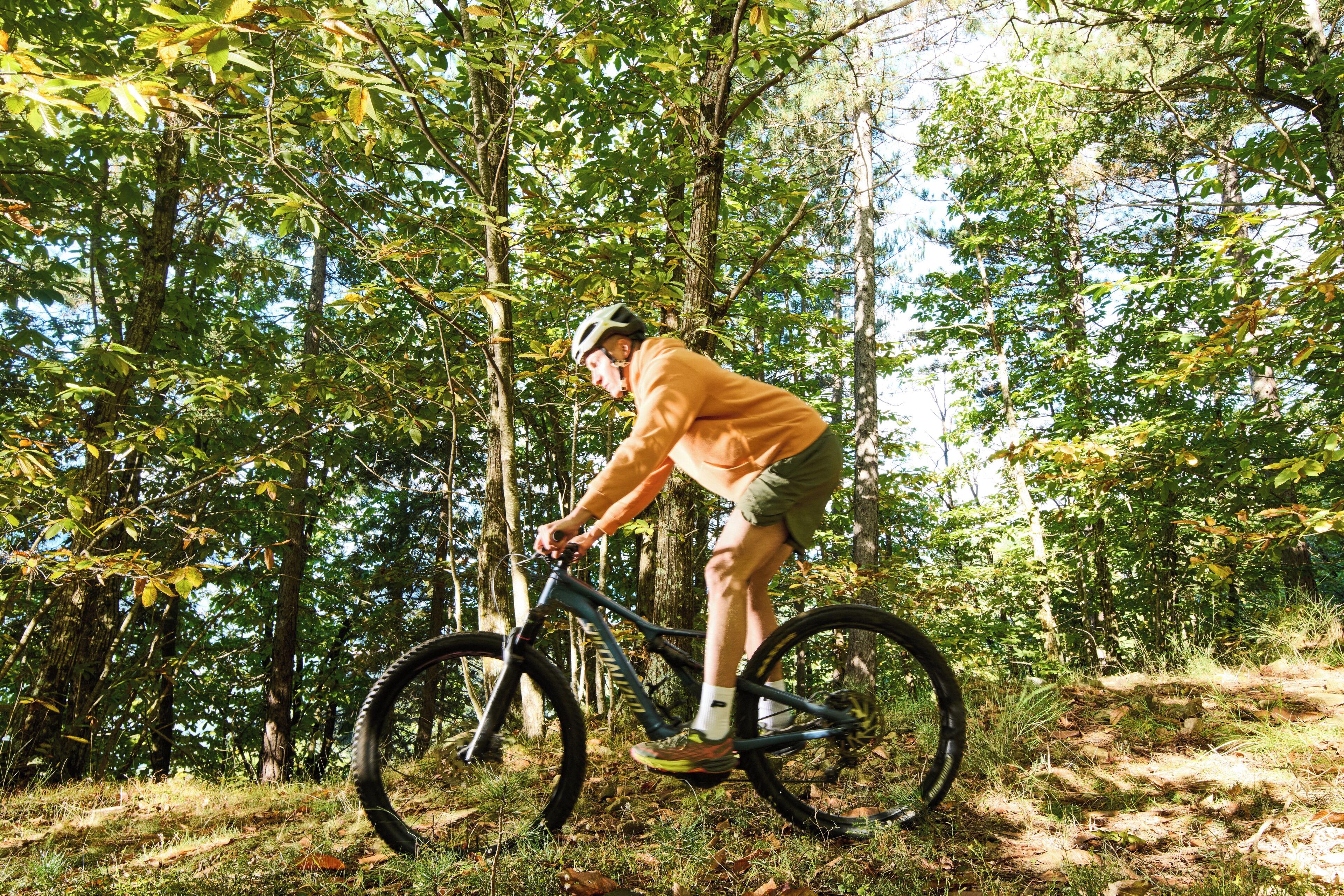 A person riding a mountain bike on a forest trail.