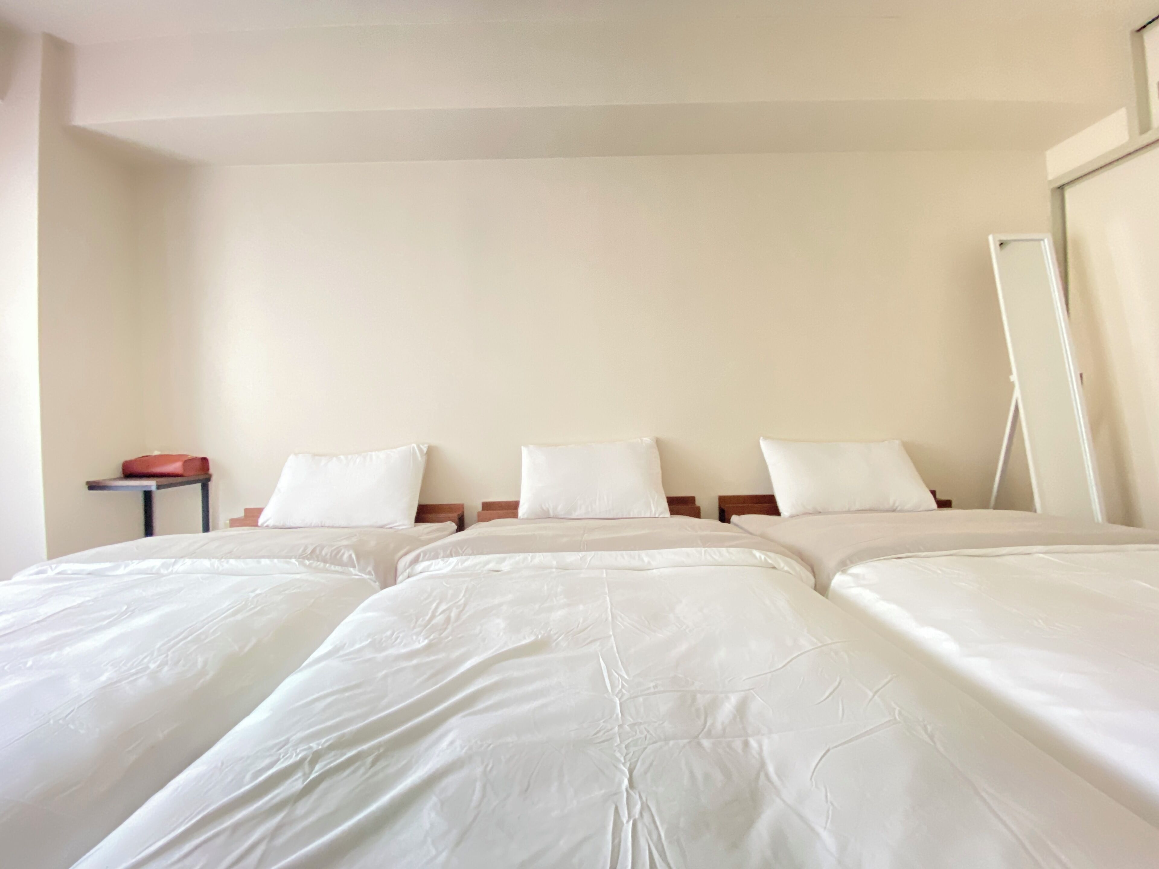 Apartment, 3 Single Beds, Refrigerator & Microwave, City View