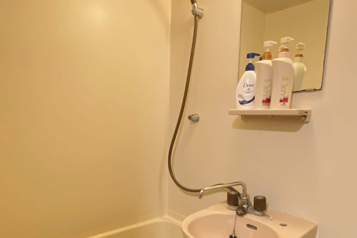 Combined shower/tub, free toiletries, hair dryer, towels