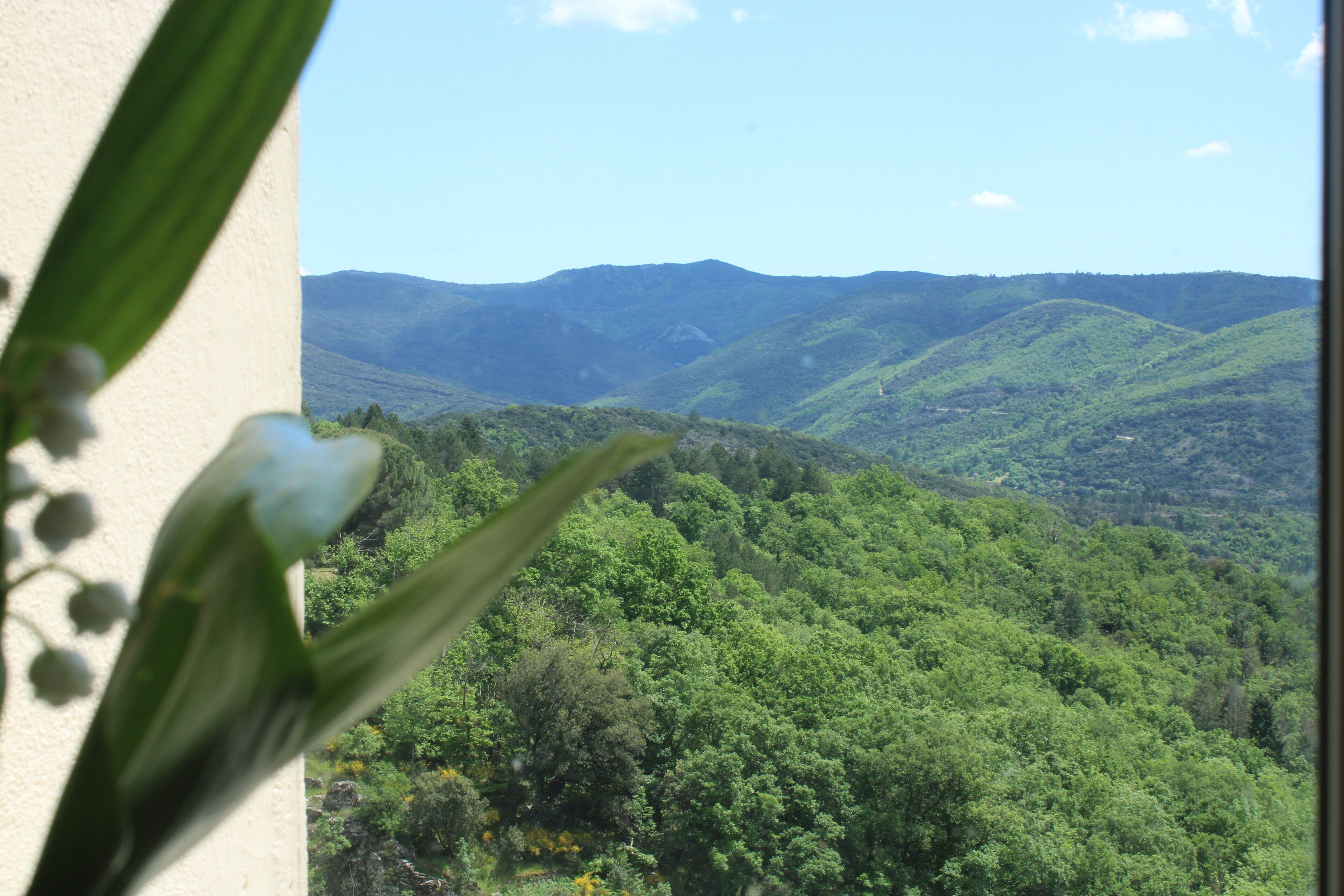 Une vue sur une vallée verdoyante, avec des montagnes  à l'horizon.