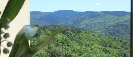 Een weids uitzicht op een groen dal, met bergen in de verte.